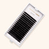 Tray of Volume Mayfair Lashes 0.06