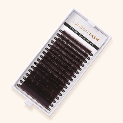 Tray of Volume/Classic Black Brown Mayfair Lashes 0.10