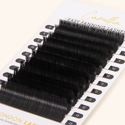 Tray of Camellia Easy Fanning Lashes in 0.07