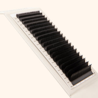 Volume Kensington Lashes 0.07 - 20 Lash Lines - B / Mix (7-14)