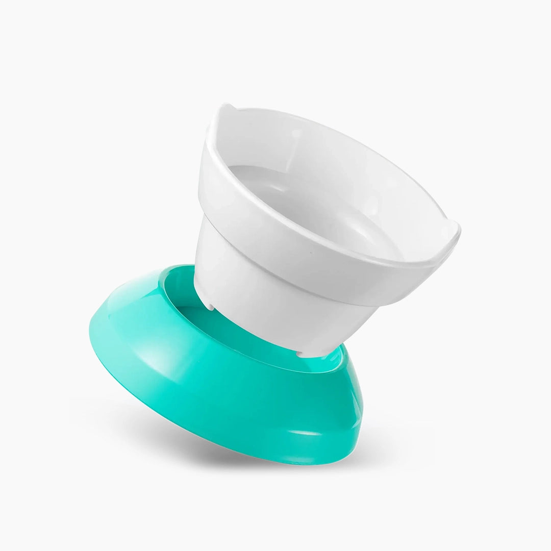 Collapsible white and teal turquoise on a white background