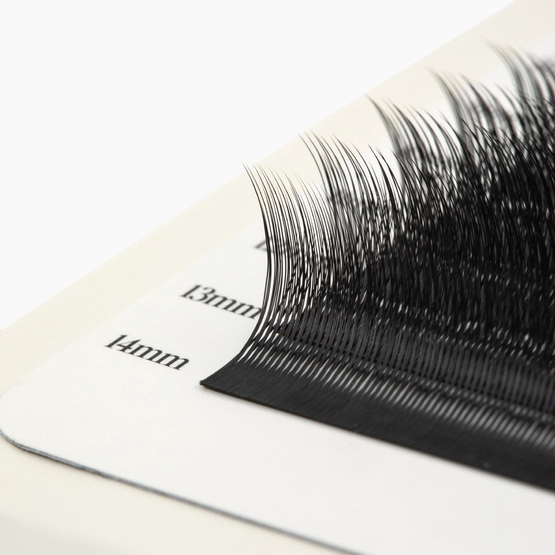 Side-view macro of black Kitten Lash extensions highlighting their fine tips, curl and soft finish