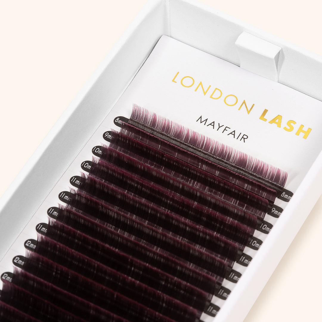 Pink Two-Tone Ombre Lashes in Tray