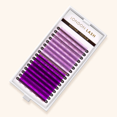 Pink and Violet Mayfair Lashes