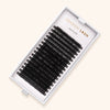 Classic Mayfair Lashes 0.12 in Lash Tray