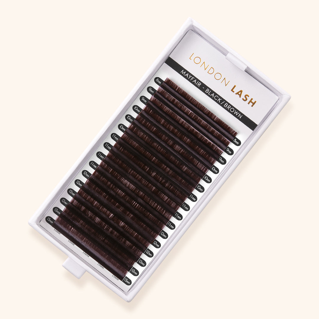 Tray of Mega Volume Black Brown Mayfair Lashes 0.05