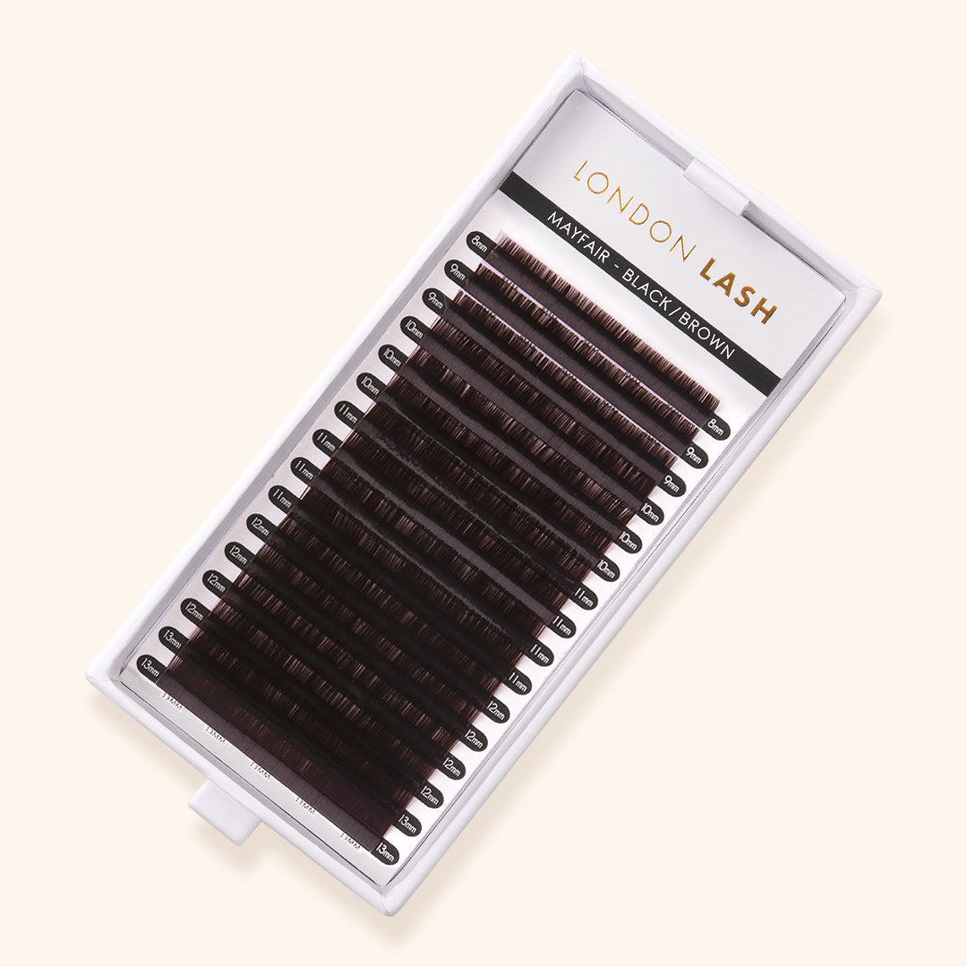 Volume Black Brown Coloured Mayfair Lashes 0.07