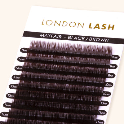 Volume Black Brown Mayfair Lashes 0.07 in Tray